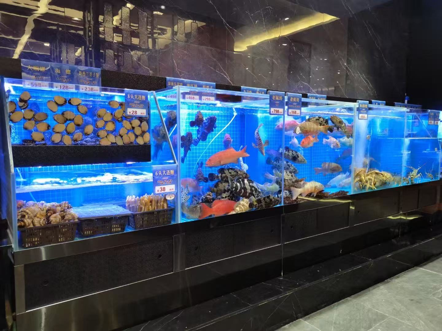 鱼缸工程展示 12