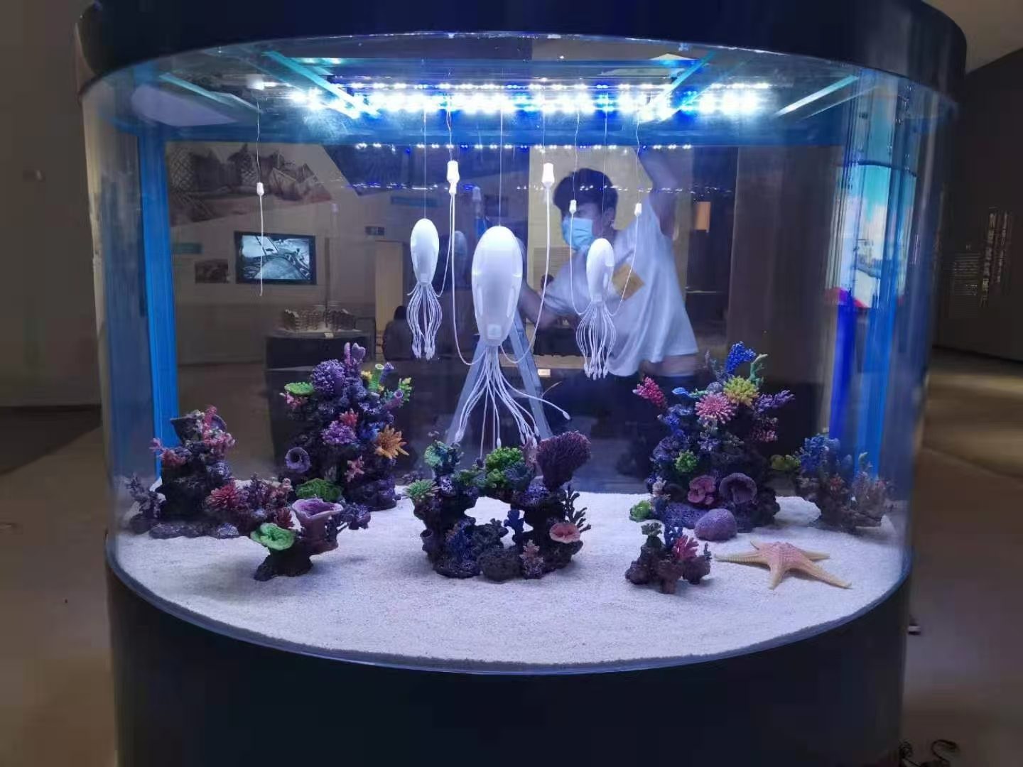 鱼缸工程展示 15